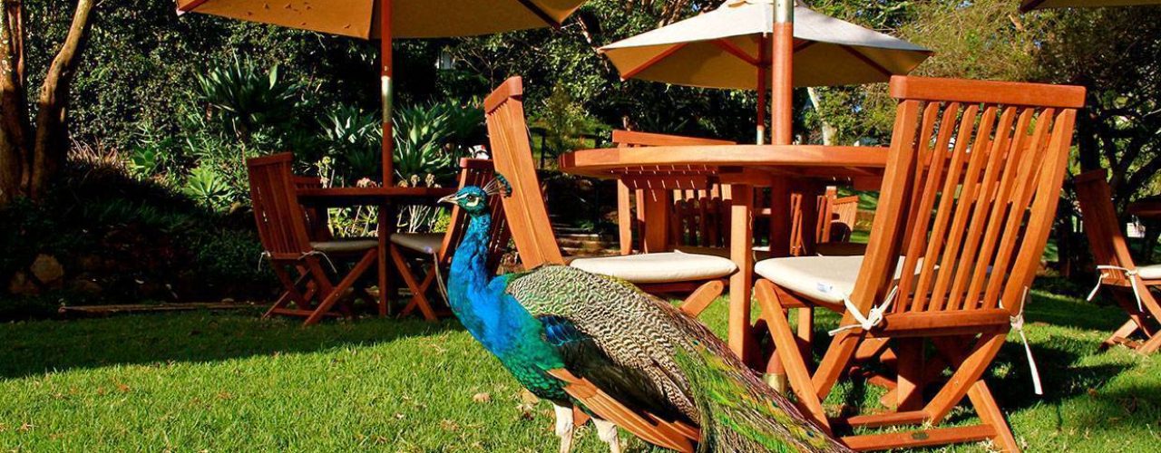 ABERDARE COUNTRY CLUB (10)