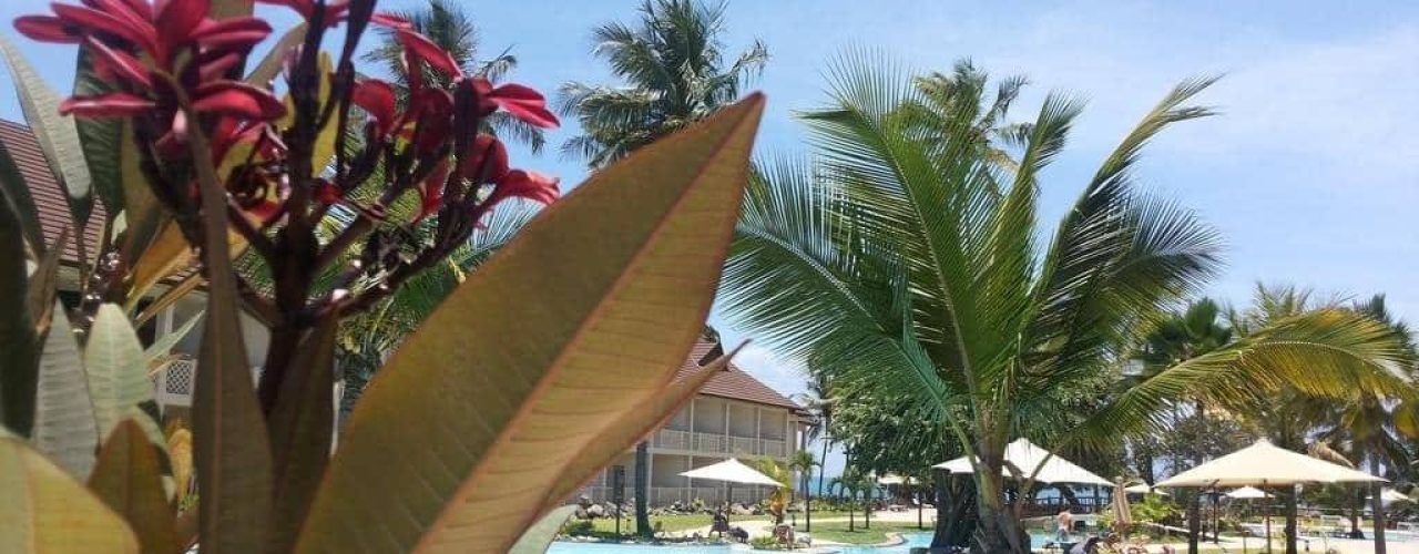AMANI TIWI BEACH (8)