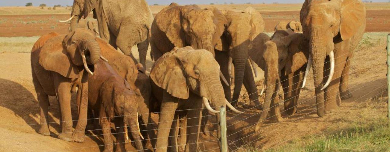 ASHNIL ARUBA LODGE (11)