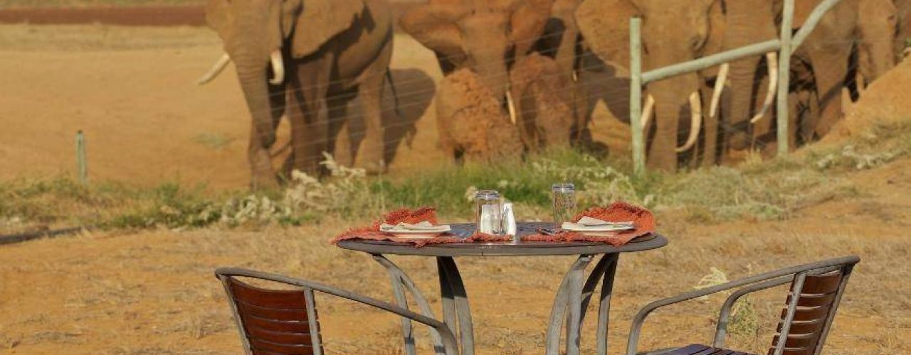 ASHNIL ARUBA LODGE (14)