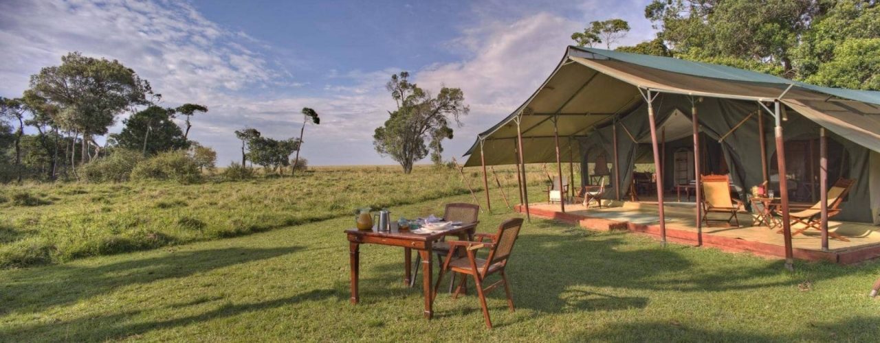 ELEPHANT-PEPPER-CAMP-3