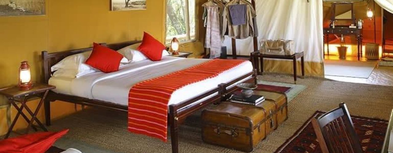 ELEPHANT-PEPPER-CAMP-7