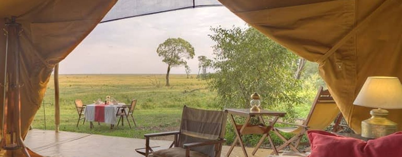 ELEPHANT-PEPPER-CAMP-8