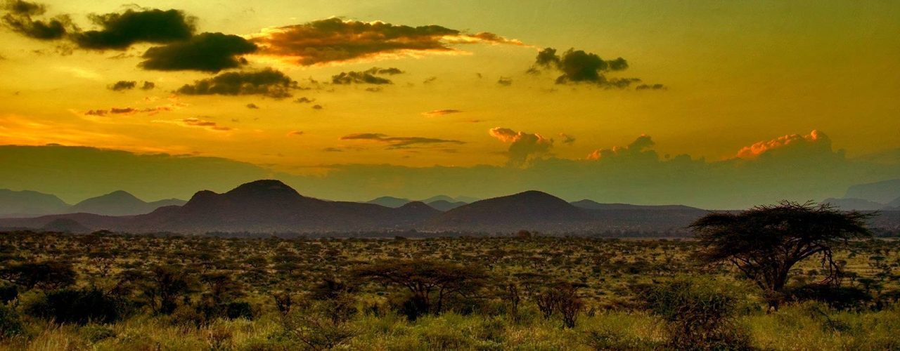 ELEPHANT WATCH CAMP (5)