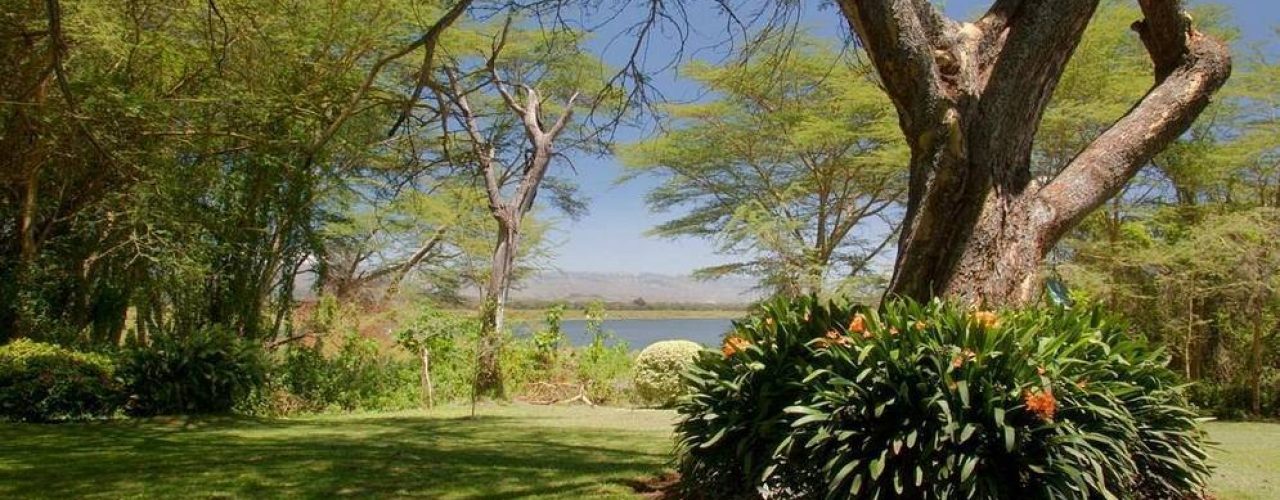 ELSAMERE CONSERVATION CENTER (6)