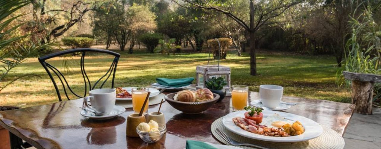 FLAMINGO HILL CAMP (1)