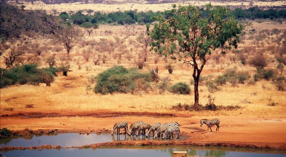 Kenya