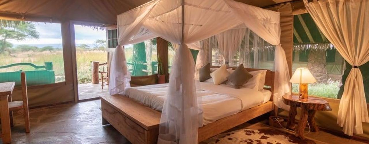 KIBO SAFARI CAMP (11)