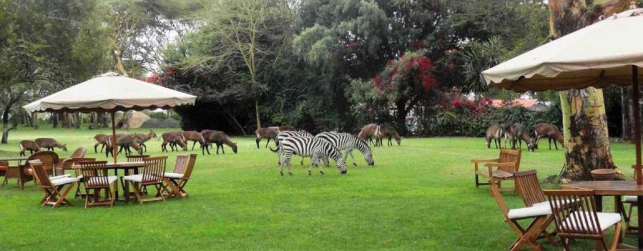 LAKE NAIVASHA COUNTRY CLUB (11)
