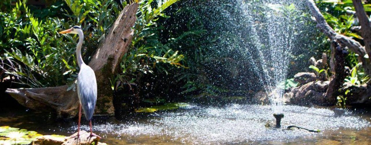 LEOPARD BEACH RESORT & SPA (4)