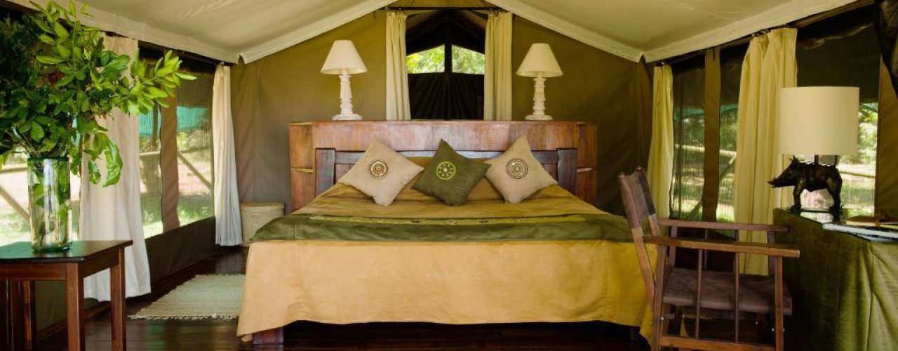 LITTLE GOVERNORS CAMP (2)