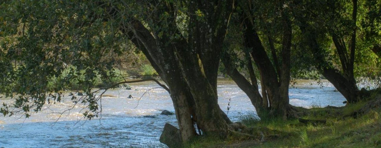 MARA CONCORD LODGE (1)