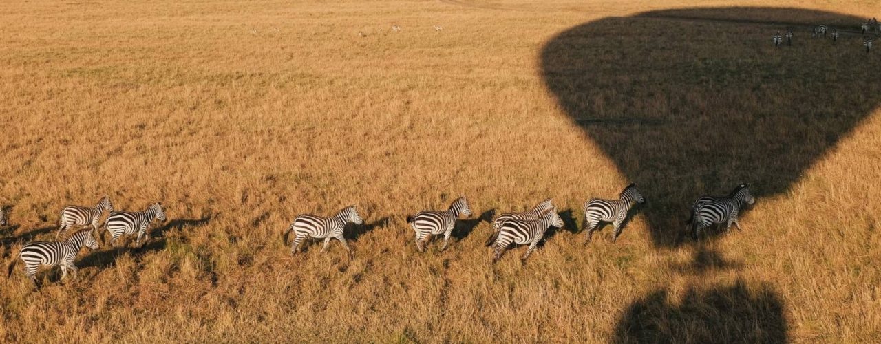 Montgolfière-Masai-Mara-3