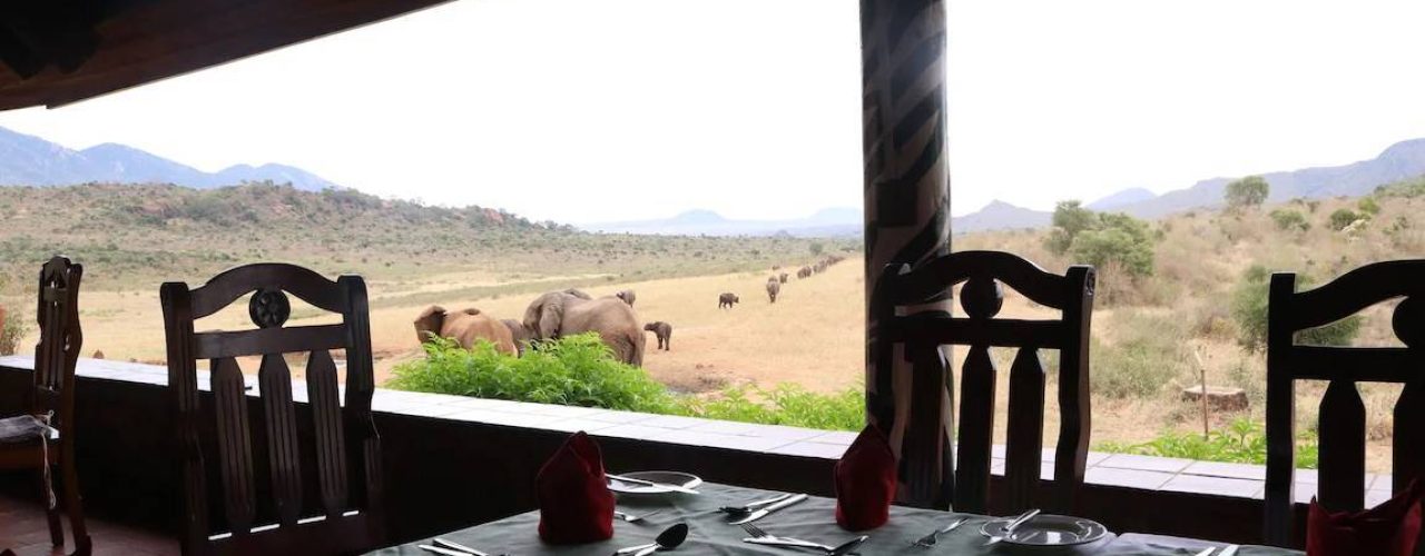 NGULIA SAFARI LODGE (1)