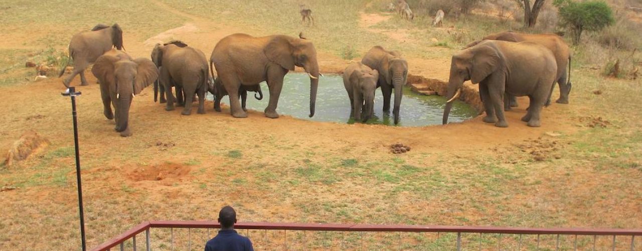 NGULIA SAFARI LODGE (2)