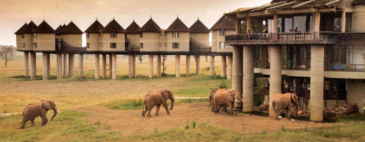 SALT LICK SAFARI LODGE (1)