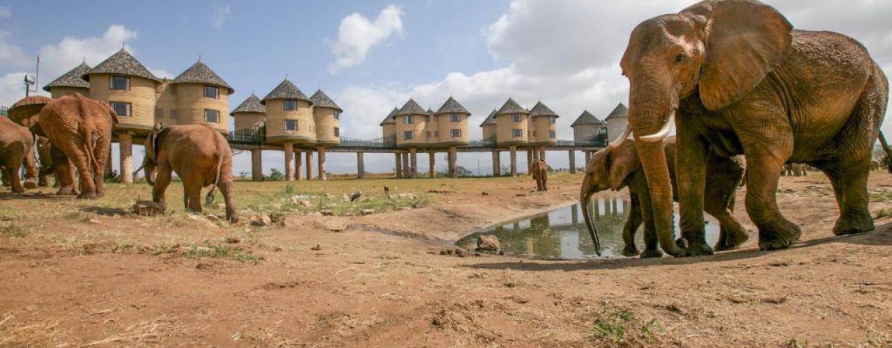 SALT LICK SAFARI LODGE (12)