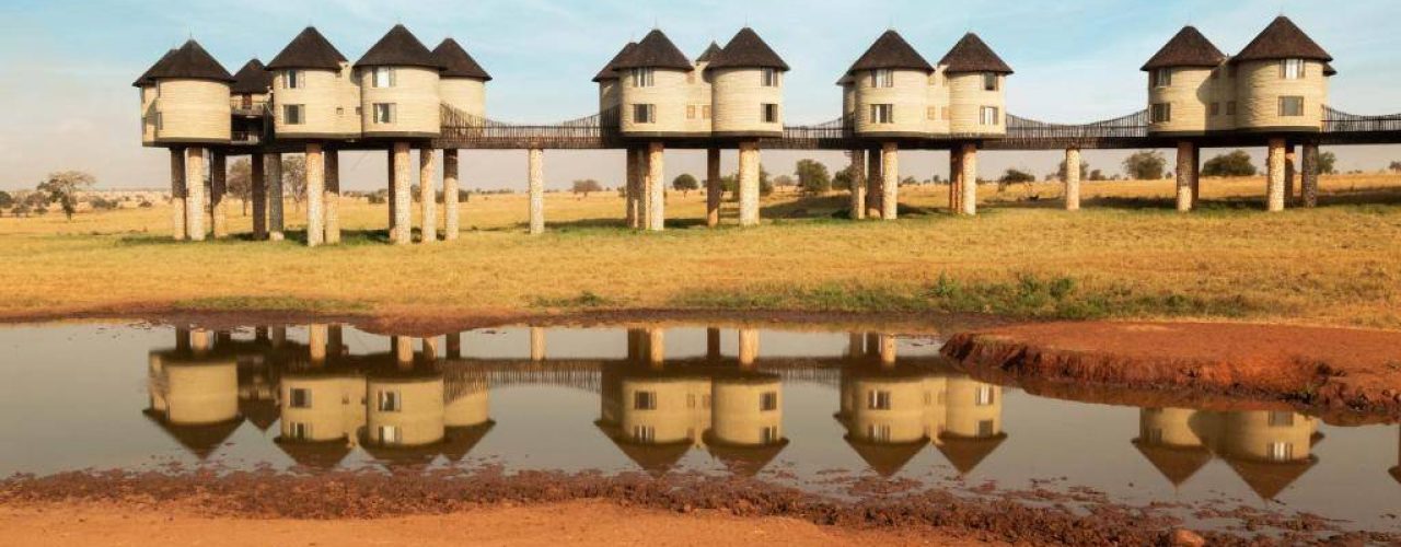 SALT LICK SAFARI LODGE (5)