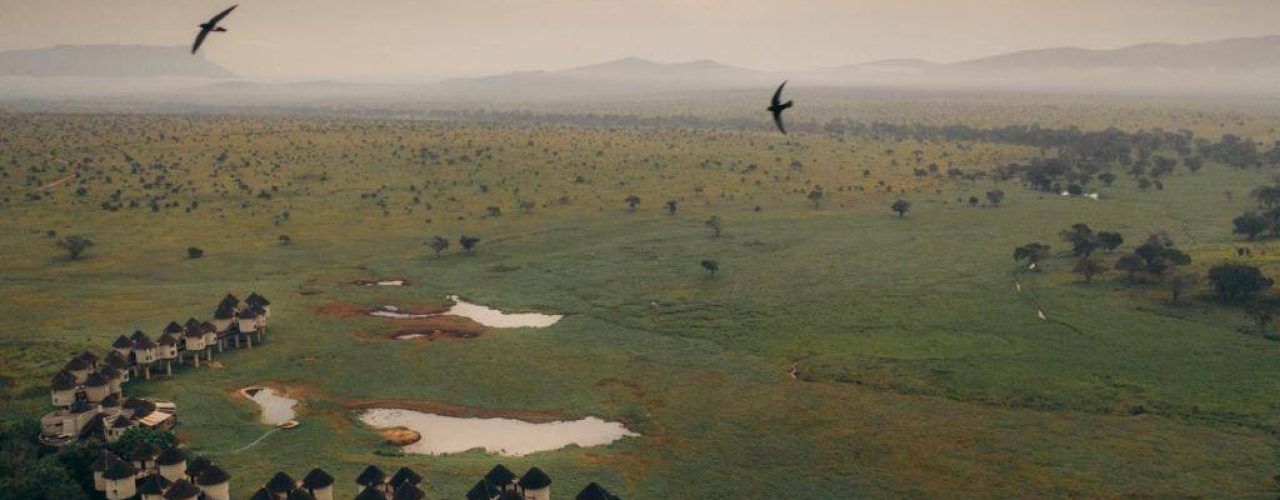 SALT LICK SAFARI LODGE (8)