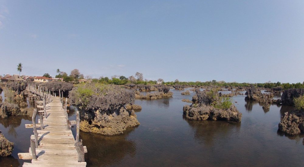 SÉJOUR-SPORT-SAFARI1