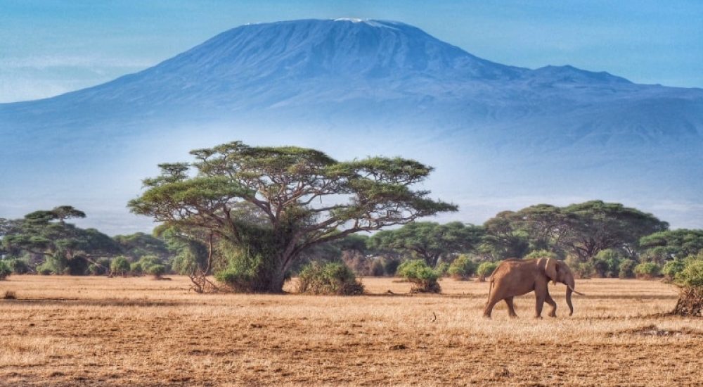 SPLENDEURS DU KENYA (5)