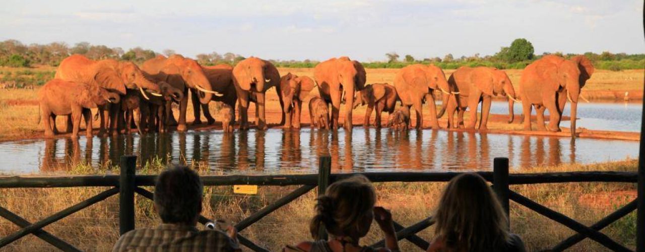 VOI WILDLIFE LODGE (1)