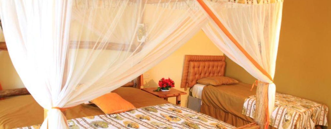 VOI WILDLIFE LODGE (5)