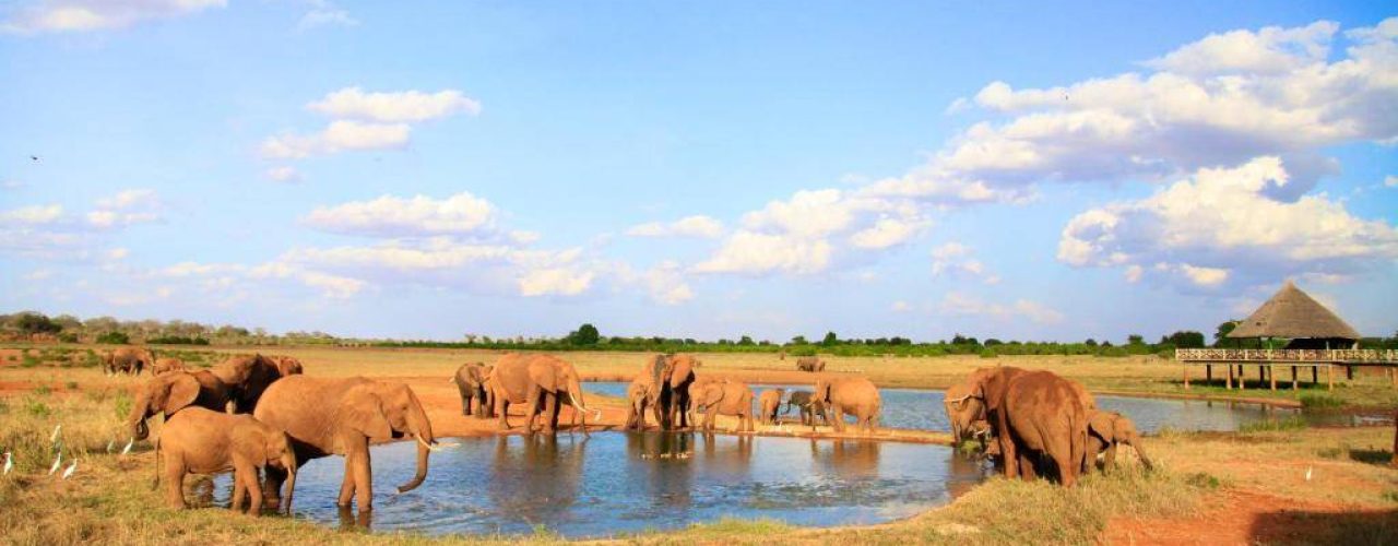 VOI WILDLIFE LODGE (7)