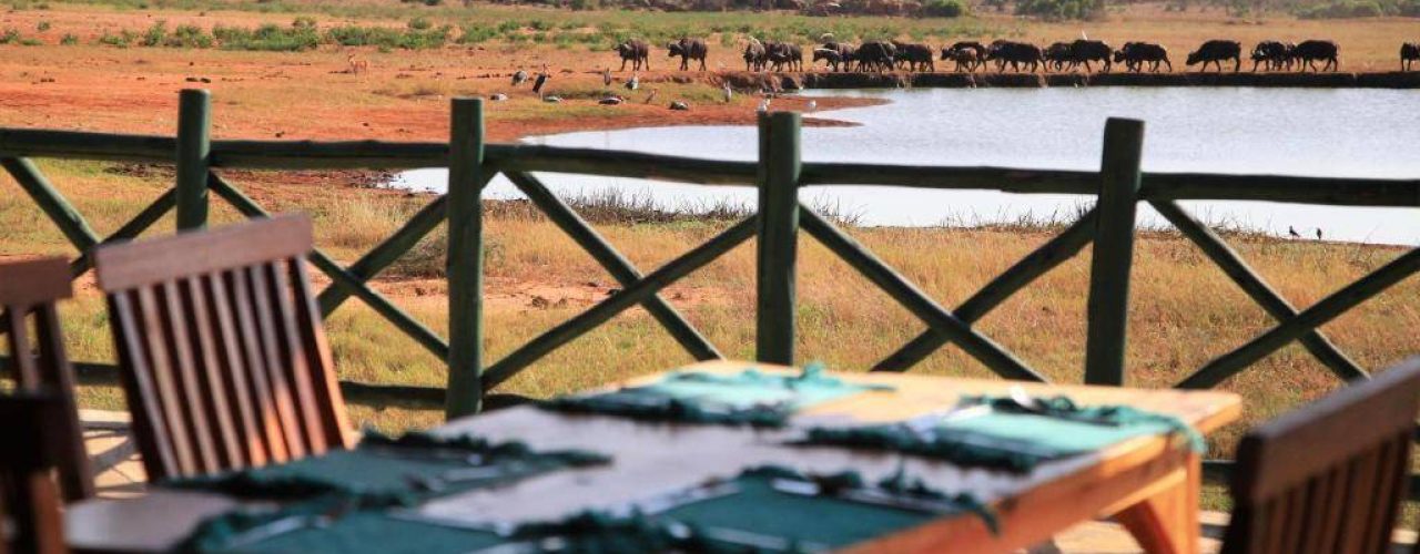 VOI WILDLIFE LODGE (8)