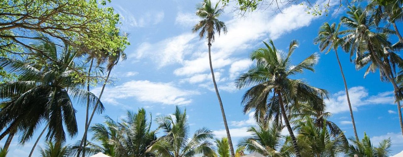 almanara-luxury-villas (2)